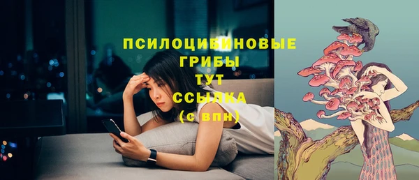 прущая мука Верея