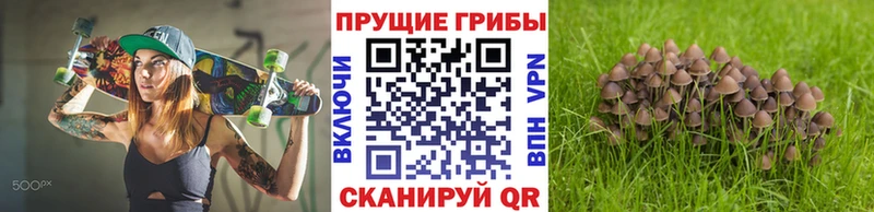 Галлюциногенные грибы Cubensis Северобайкальск