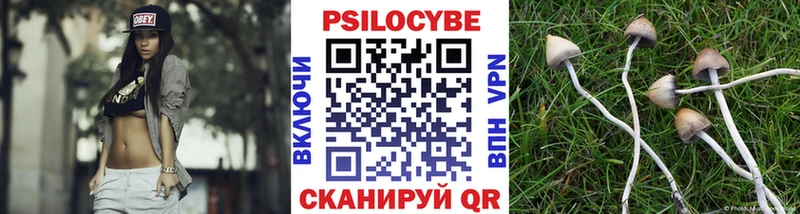 Галлюциногенные грибы мухоморы  Северобайкальск 